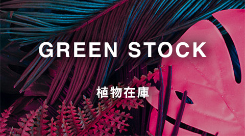 GREEN STOCK/植物在庫