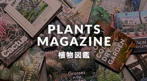 PLANTS MAGAZINE/植物図鑑